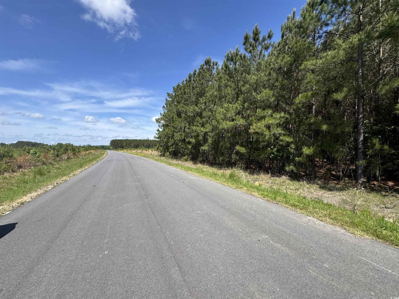 4791 Grainger Circle Photo 10