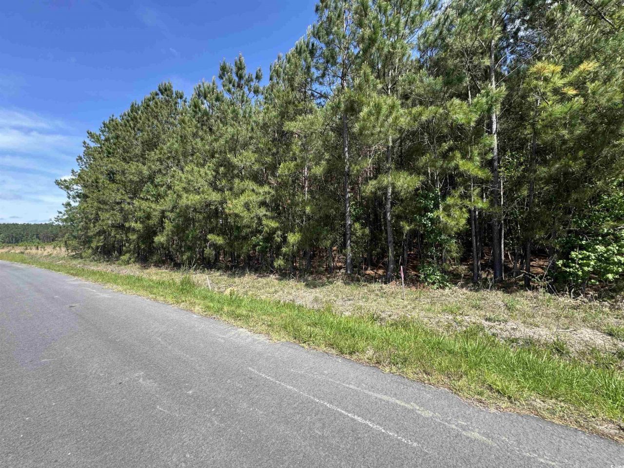 4791 Grainger Circle Photo 11