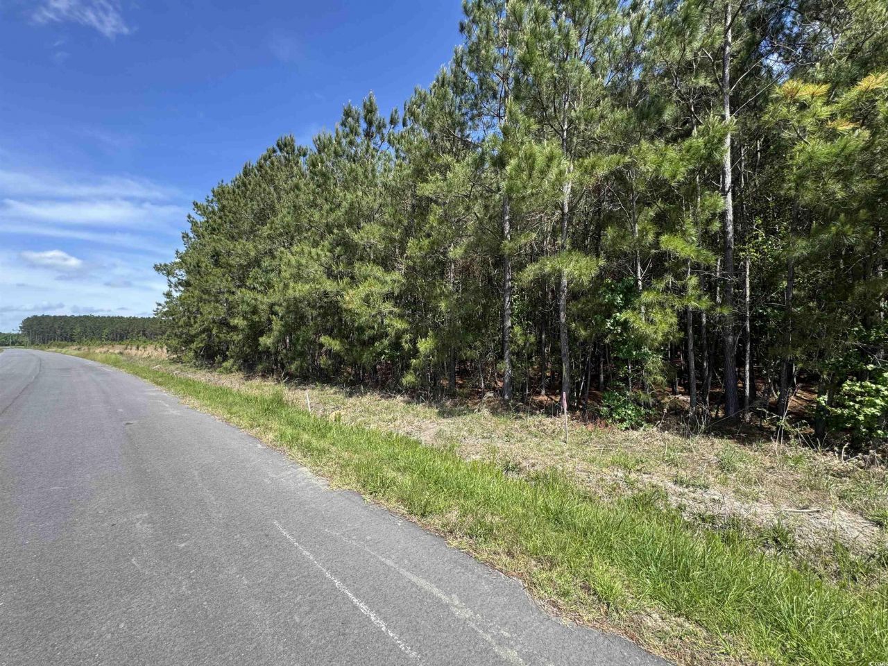 4791 Grainger Circle Photo 12