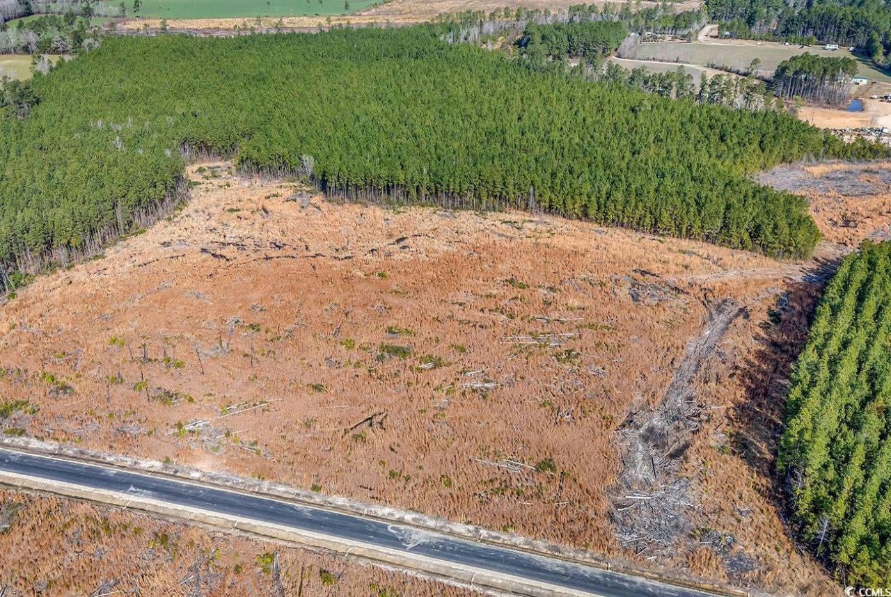 4791 Grainger Circle Photo 5