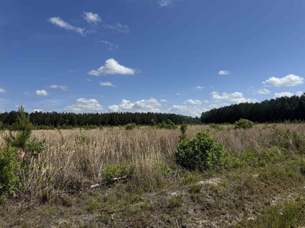 4791 Grainger Circle Photo 7