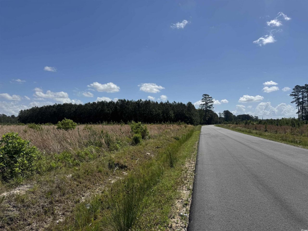 4791 Grainger Circle Photo 8