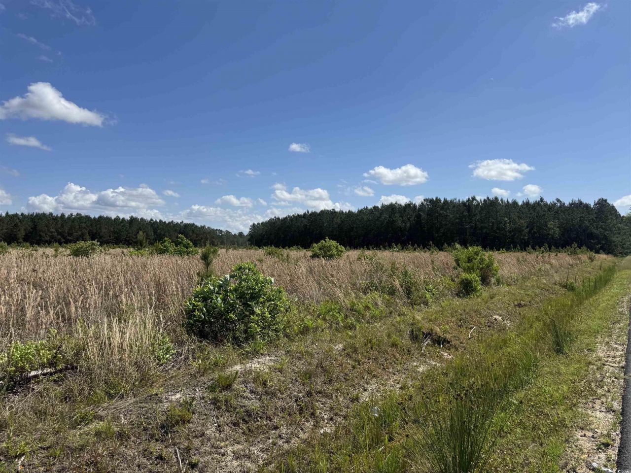 4791 Grainger Circle Photo 9