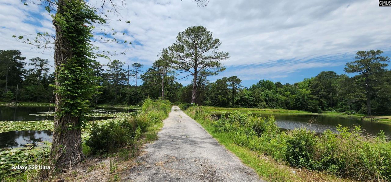 101 Moolah Drive Photo 28