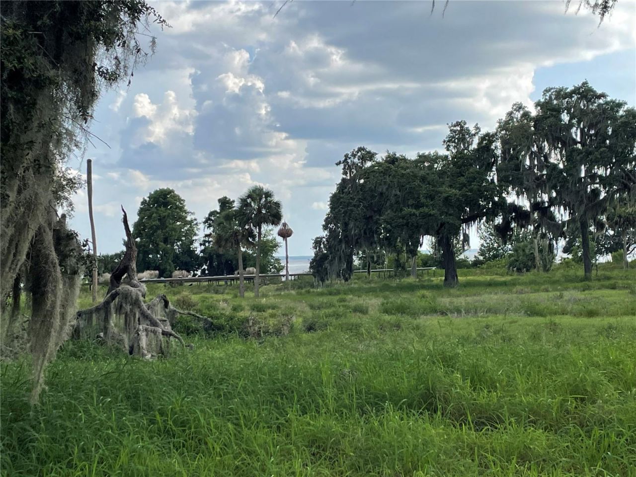 32311 Anglers Avenue, Leesburg, FL 34788 Photo