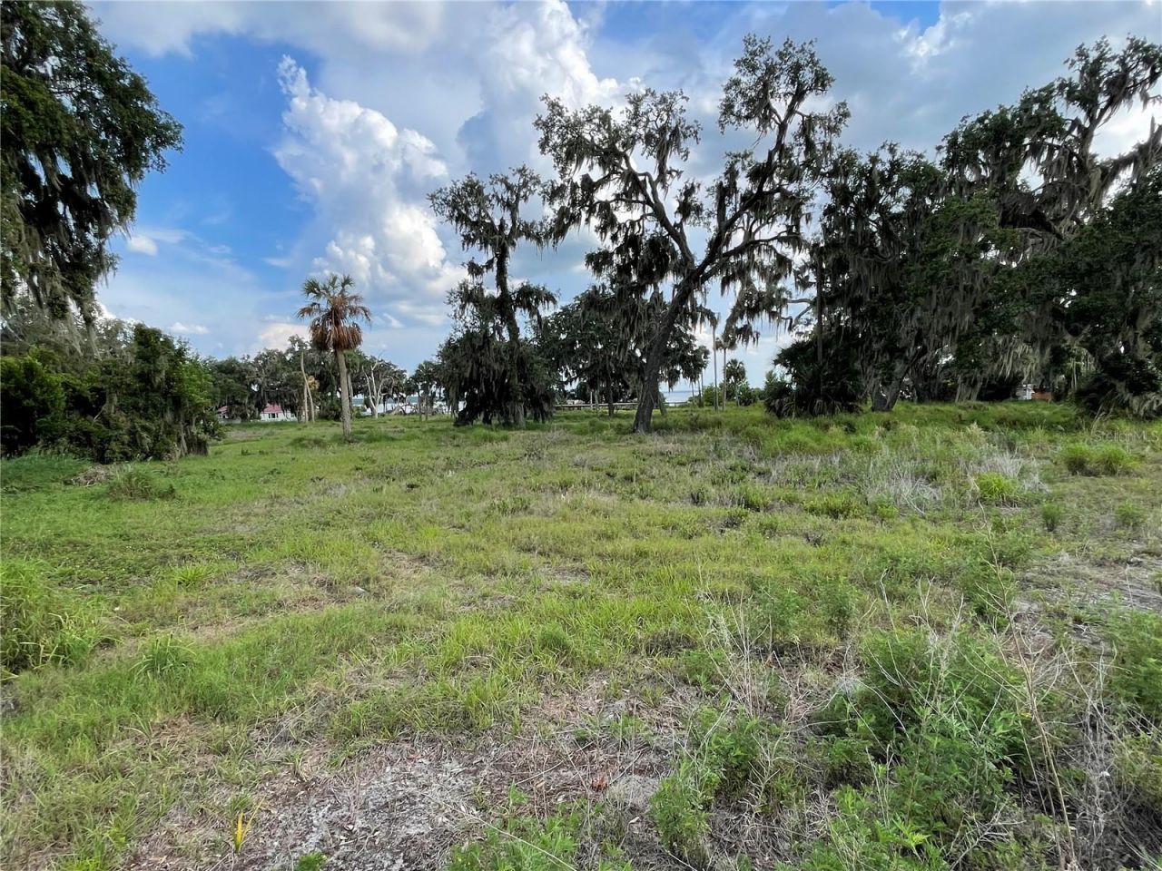 32311 Anglers Avenue, Leesburg, FL 34788 Photo