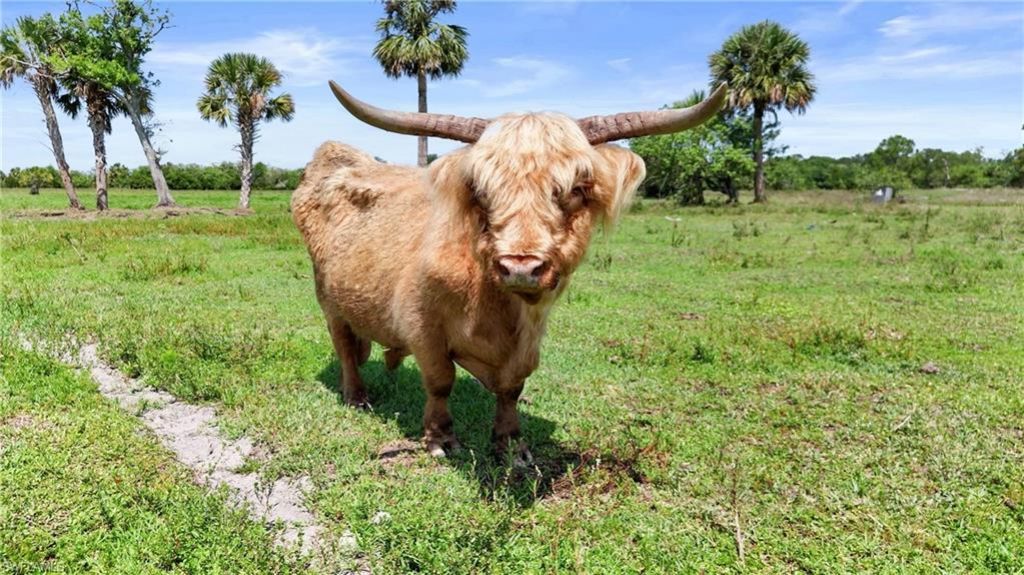 2777 Everhigh Acres Rd, Clewiston, FL 33440 Photo