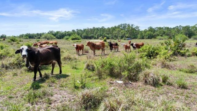 2777 Everhigh Acres Rd, Clewiston, FL 33440 Photo