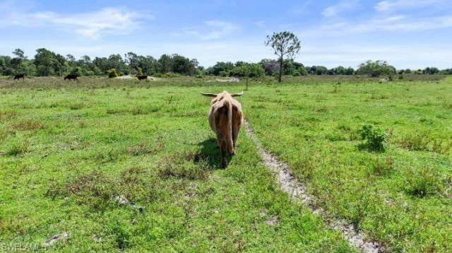 2777 Everhigh Acres Rd, Clewiston, FL 33440 Photo