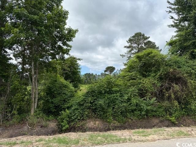 9.76 Acs Rabon Rd. Photo 12