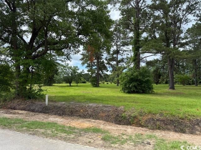 9.76 Acs Rabon Rd. Photo 13