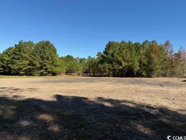 9.76 Acs Rabon Rd. Photo 14