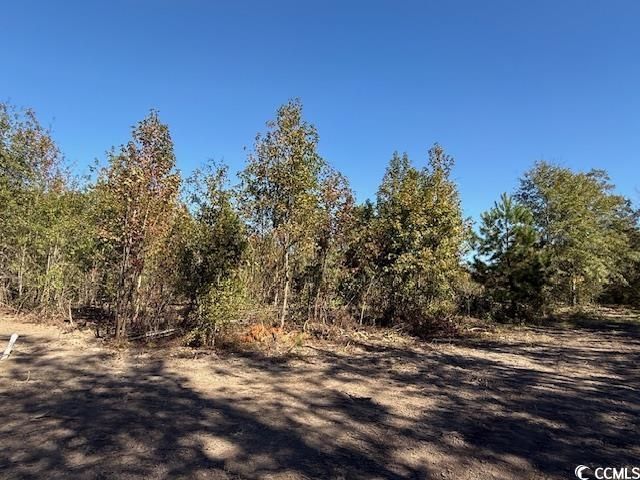 9.76 Acs Rabon Rd. Photo 19