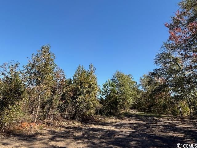 9.76 Acs Rabon Rd. Photo 20