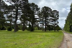 9.76 Acs Rabon Rd. photo 4