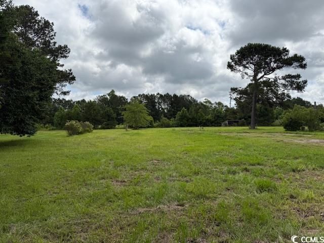 9.76 Acs Rabon Rd. Photo 5