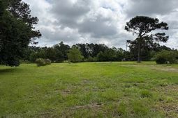 9.76 Acs Rabon Rd. photo 4