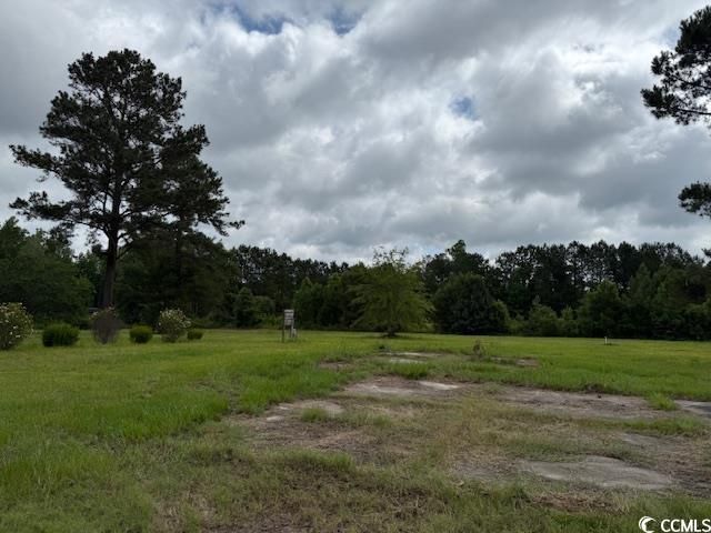 9.76 Acs Rabon Rd. Photo 6