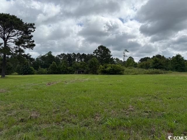 9.76 Acs Rabon Rd. Photo 7