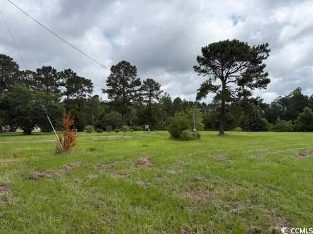 9.76 Acs Rabon Rd. Photo 8