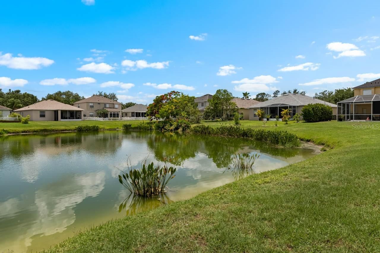 1933 Fruitridge Street, Brandon, FL 33510 Photo