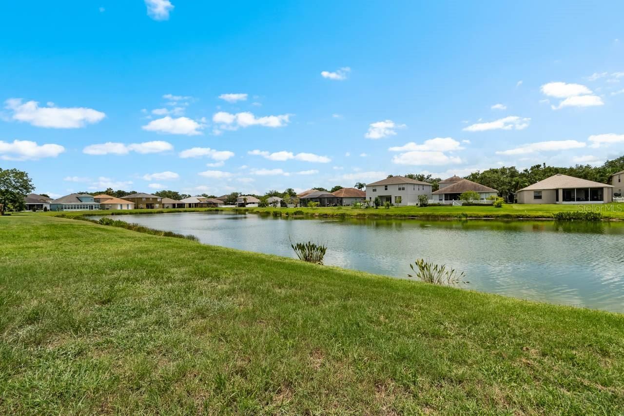 1933 Fruitridge Street, Brandon, FL 33510 Photo