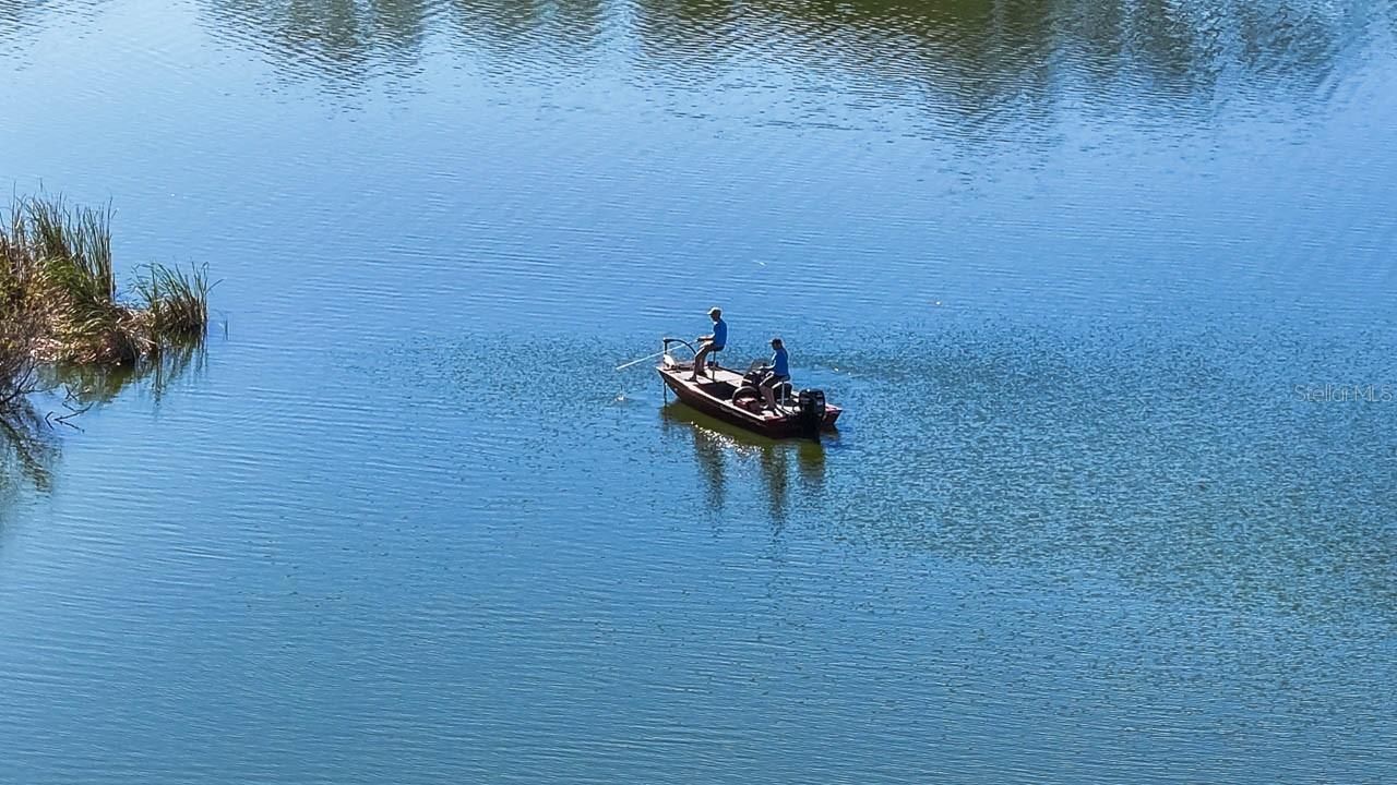 1933 Fruitridge Street, Brandon, FL 33510 Photo