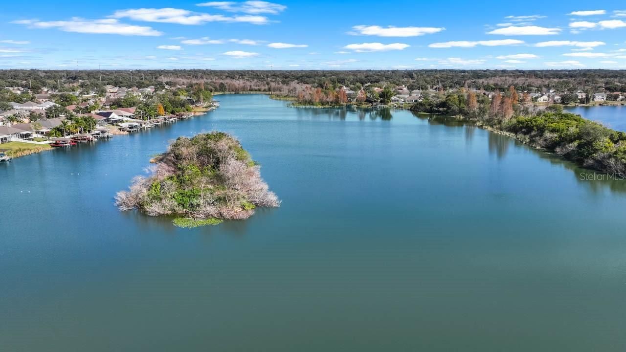 1933 Fruitridge Street, Brandon, FL 33510 Photo