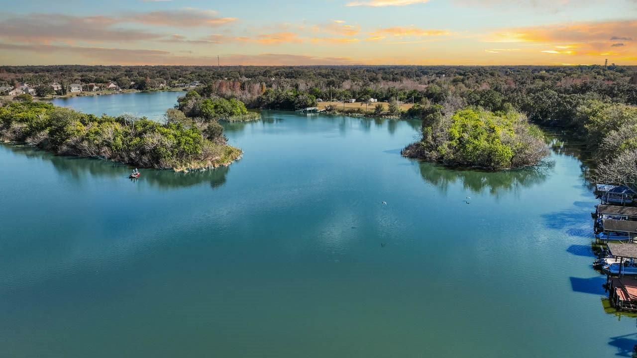 1933 Fruitridge Street, Brandon, FL 33510 Photo