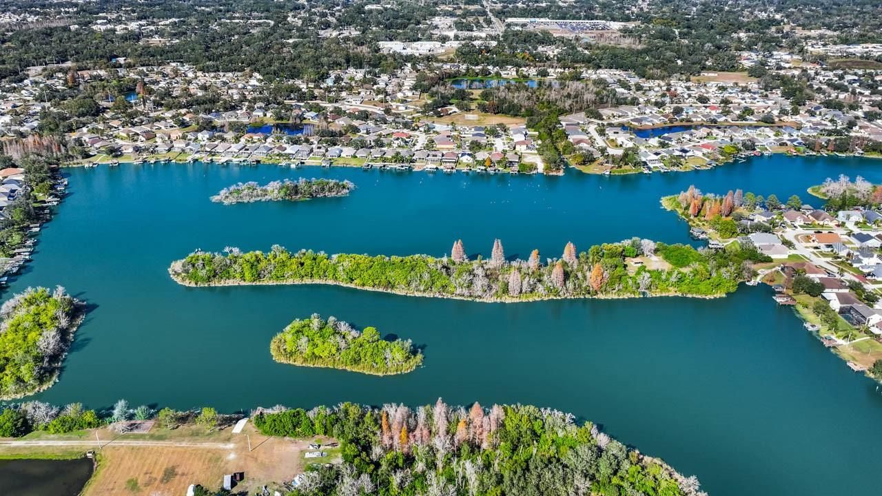 1933 Fruitridge Street, Brandon, FL 33510 Photo