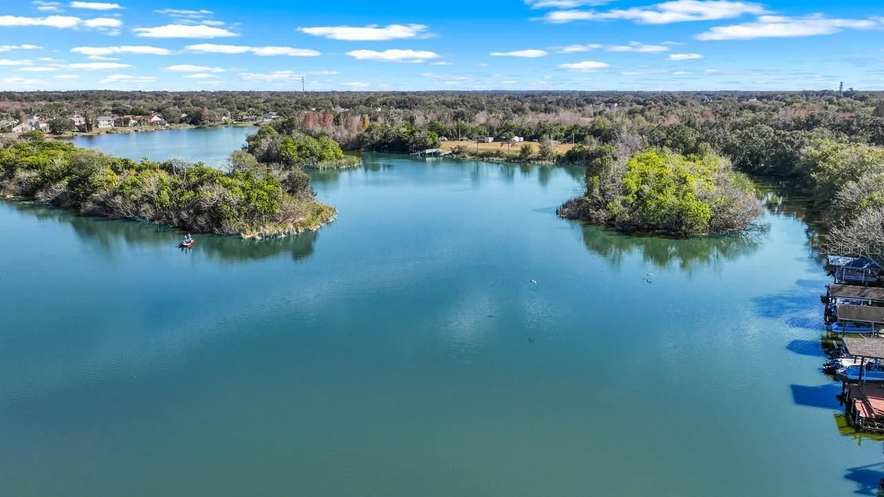 1933 Fruitridge Street, Brandon, FL 33510 Photo