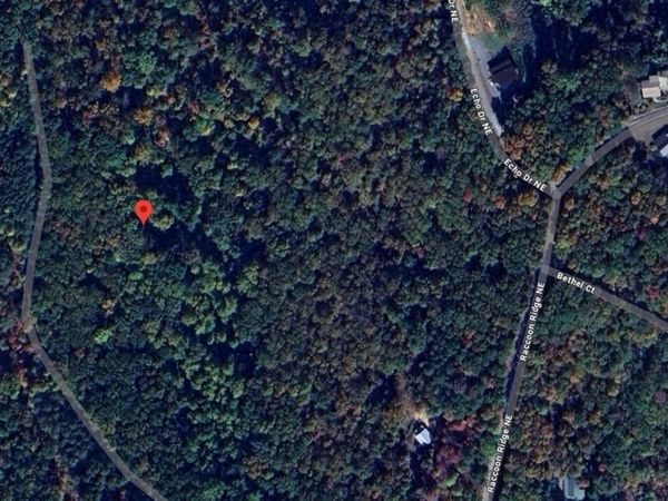 1009 N Cut Drive, Ranger, GA 30734