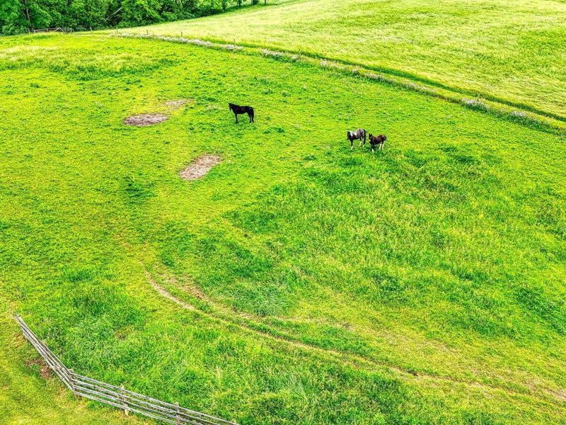 10057 State Route 776, Jackson, OH 45640 Photo 56