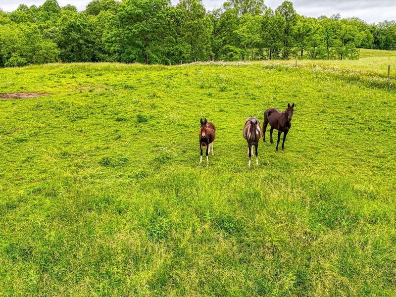 10057 State Route 776, Jackson, OH 45640 Photo 57