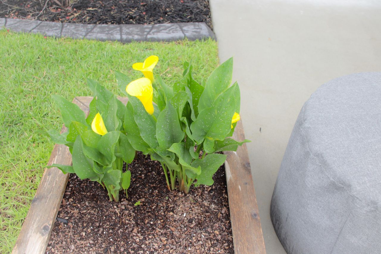 683 Yellow Leaf Lane Photo 10