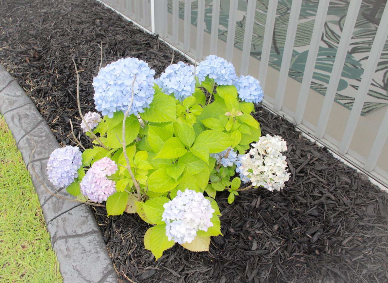 683 Yellow Leaf Lane Photo 7