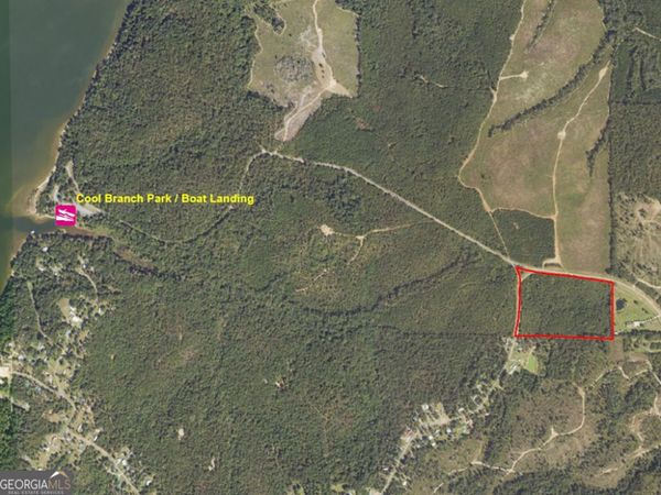 0 Cool Branch Road, Georgetown, GA 39854