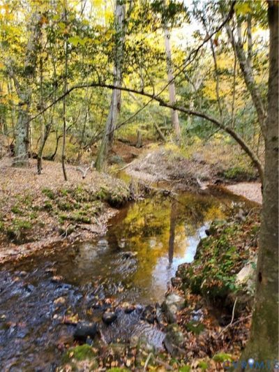 17237 Ivory Bill Lane, Chesterfield, VA 23838 Main Photo