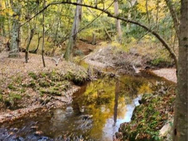 17237 Ivory Bill Lane, Chesterfield, VA 23838