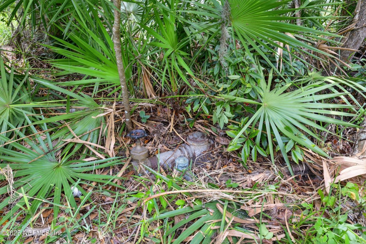 4661 Raggedy Point Road, Fleming Island, FL 32003 Photo