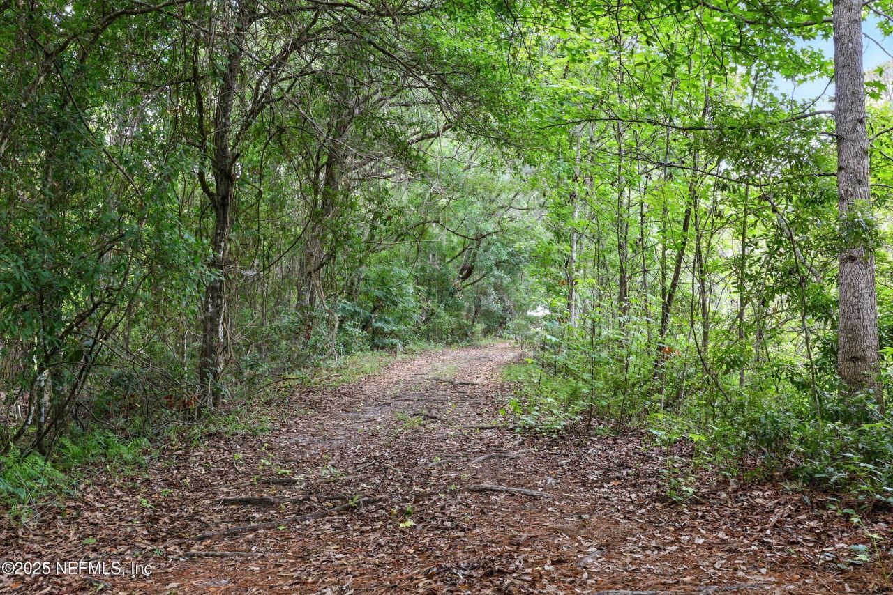 4661 Raggedy Point Road, Fleming Island, FL 32003 Photo