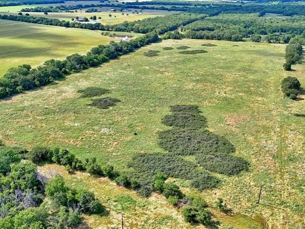 1494 Alamo Road, Montague, TX 76251