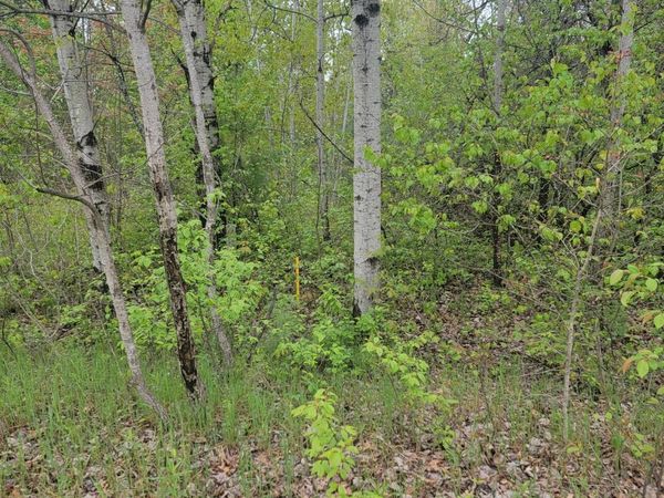 LOT #42 E ROBERTA Drive, Roscommon, MI 48653
