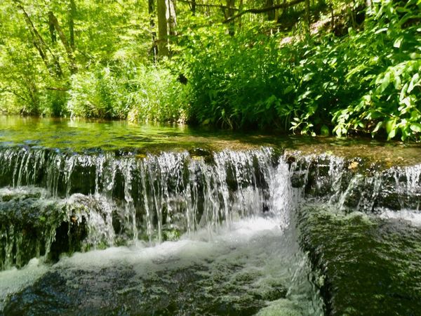 0 Brush Creek, Hohenwald, TN 38462