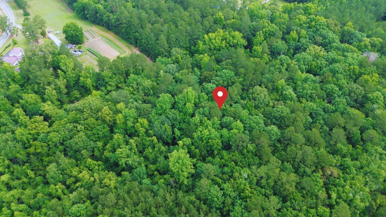 0 Thicket Lane Photo 10