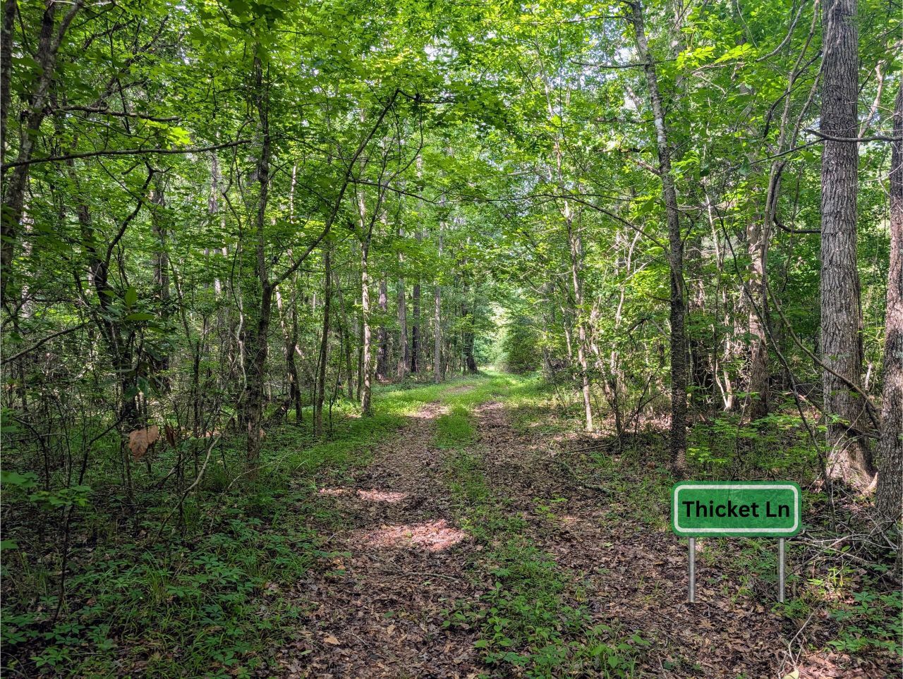 0 Thicket Lane Photo 4