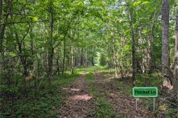 0 Thicket Lane photo 4