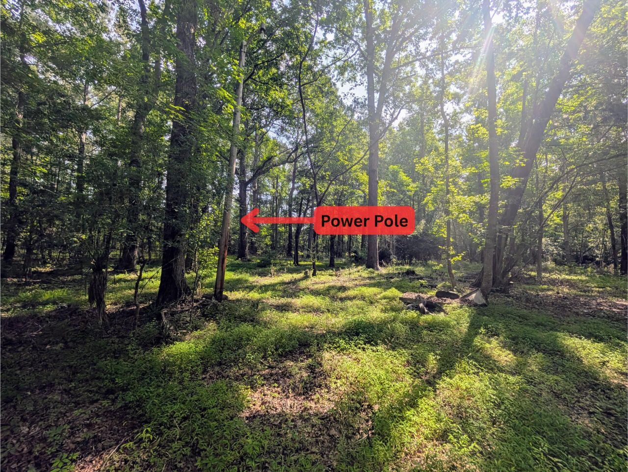 0 Thicket Lane Photo 5