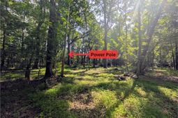 0 Thicket Lane photo 4