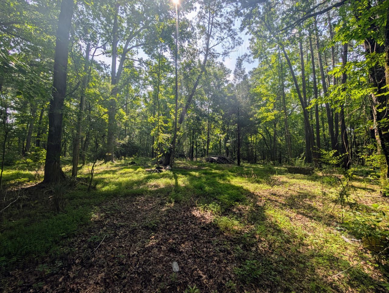 0 Thicket Lane Photo 6